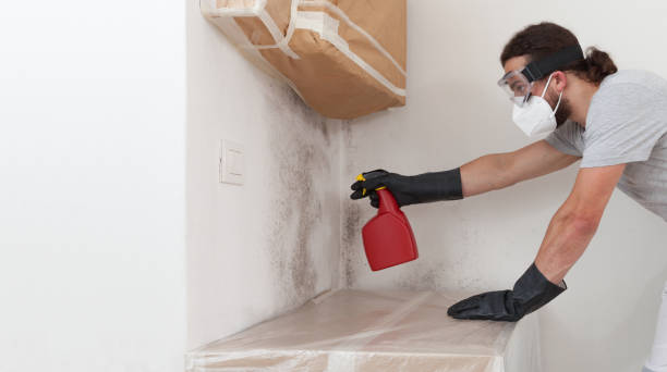 Professional Mold Remediation technician working in Woodstock, IL
