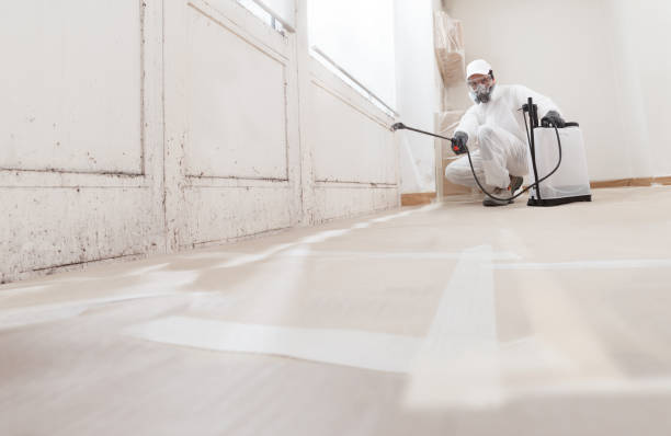24/7 Emergency Mold Remediation experts in Woodstock, IL